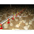 Broiler Chicken Poultry Farm Drinking System